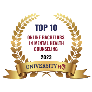 top 10 online mental health counseling bachelors